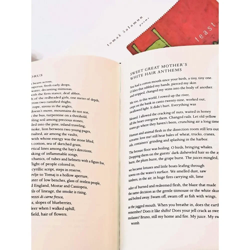 Feast: Poems of Tomaž Šalamun (2000 1st English Ed. HC in DJ)